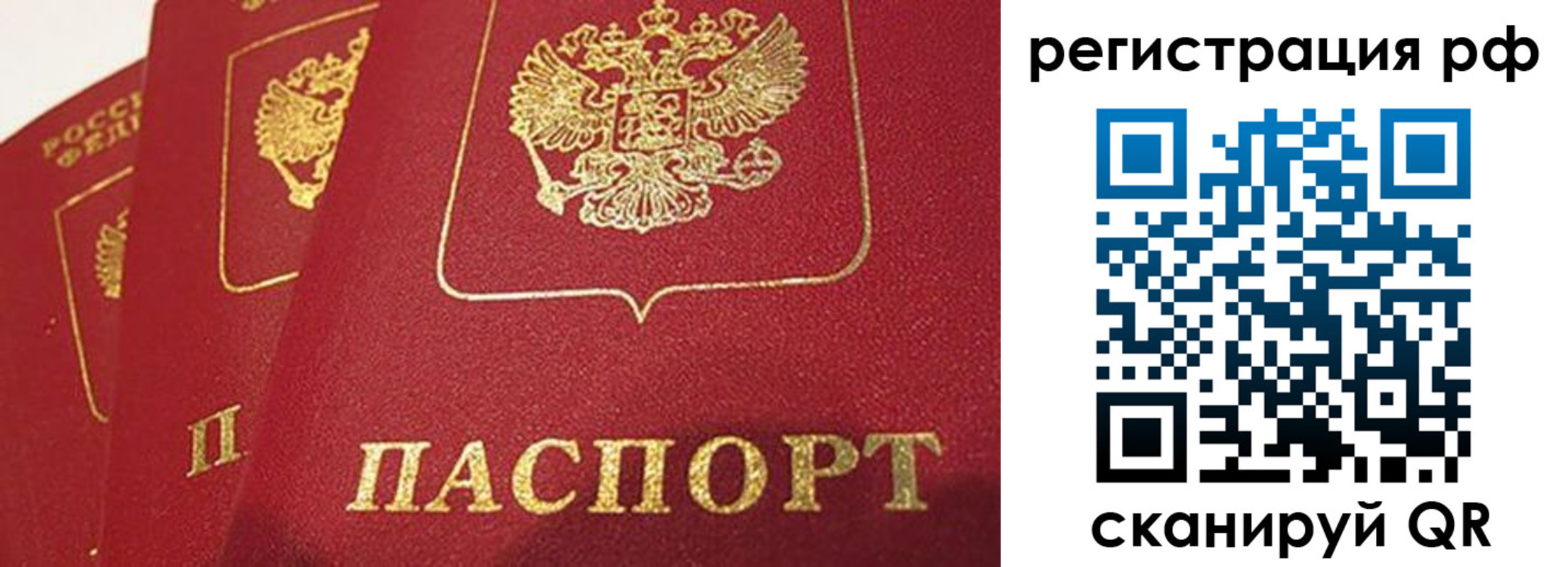 прописка в квартире в Лесном